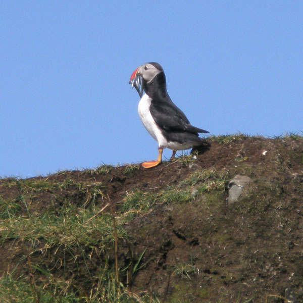 Vágar