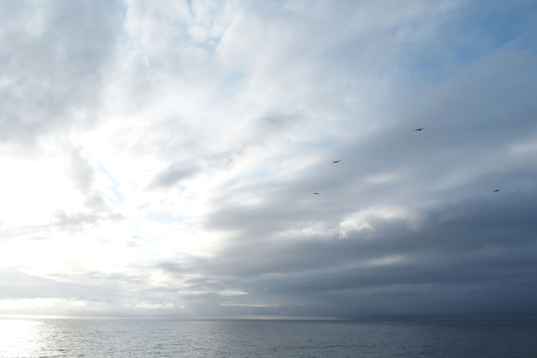 Tórshavn-Hirtshals