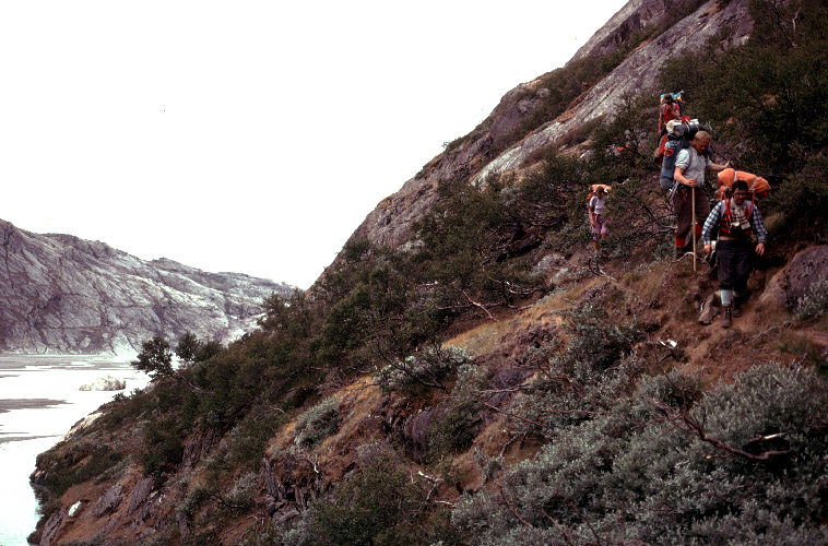 Sydgrønland 1974