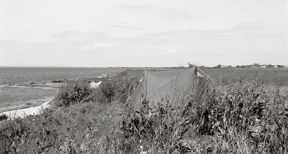 Vandring i Sydgrønland 1975