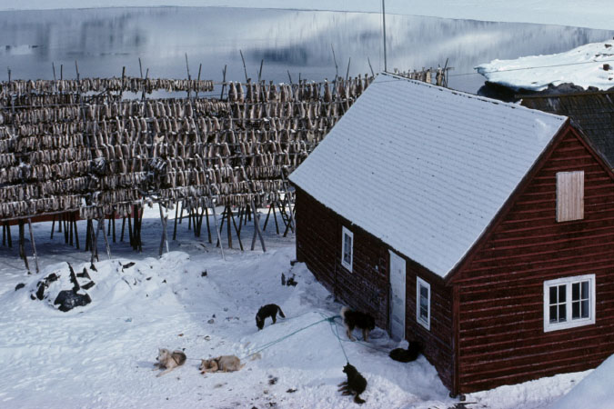 Aput 76