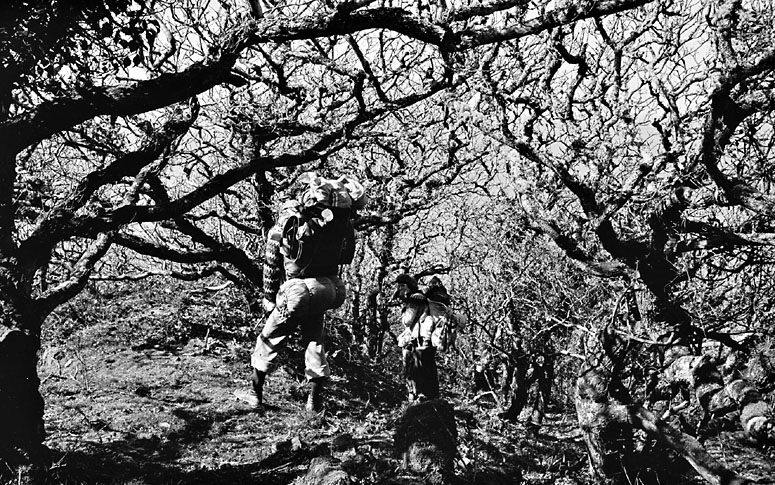 The North Cornwall Coast