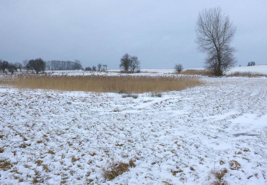 Øhavsstien på Ærø