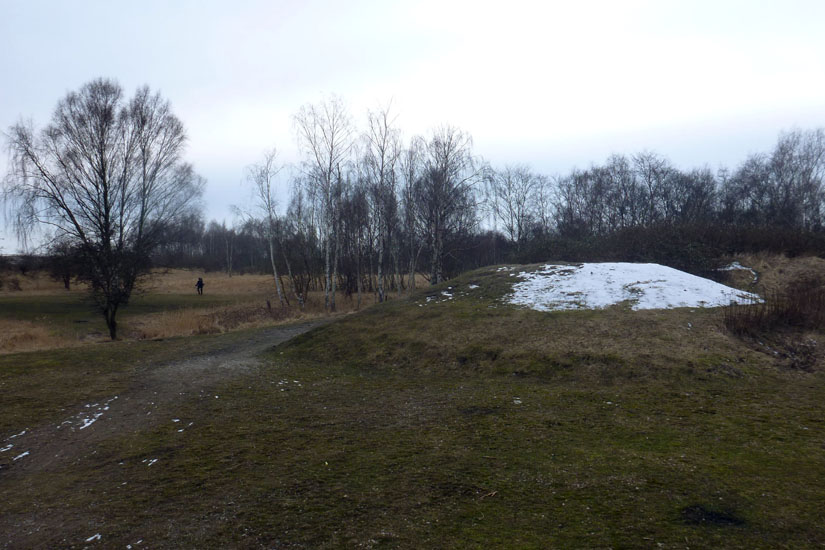 Amager