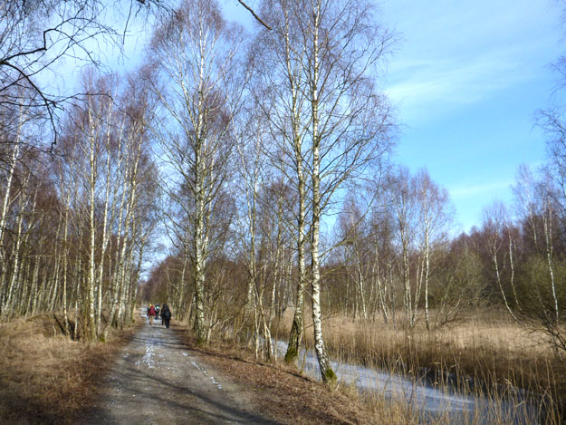 Amager