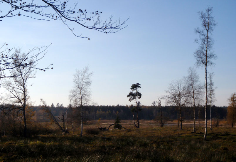Bastemose, Bornholm