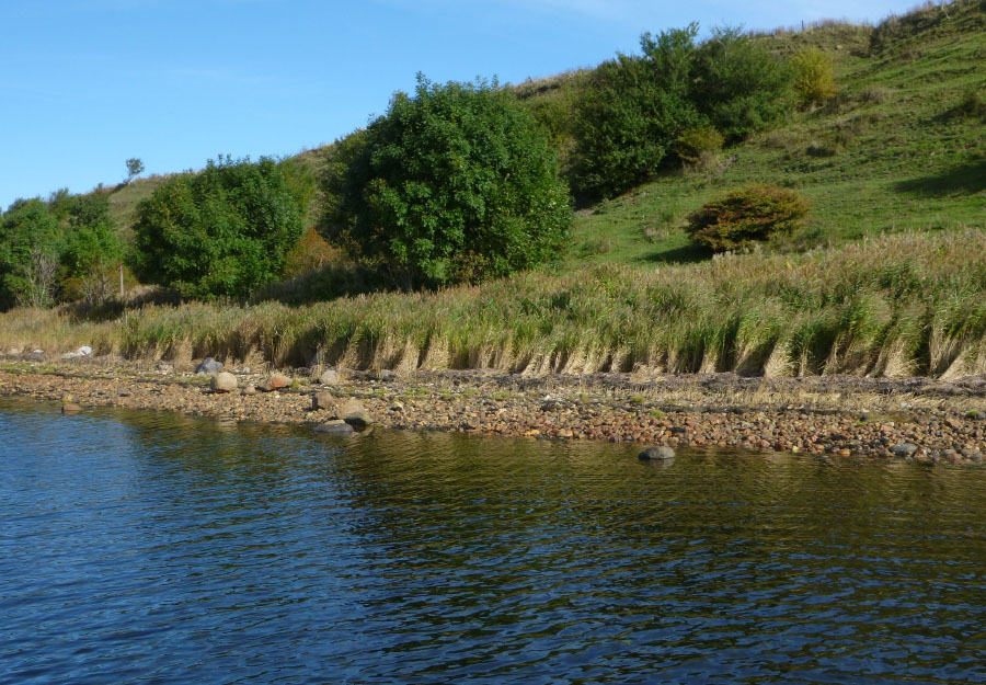 Isefjorden