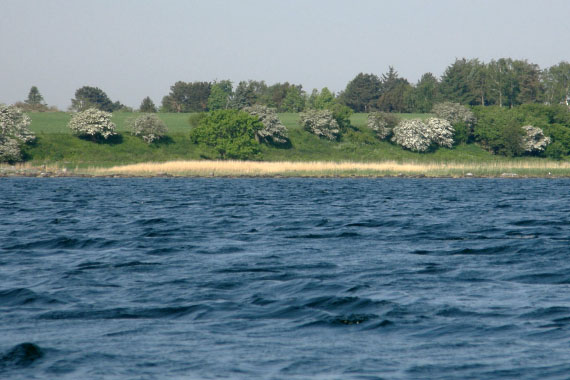 Isefjorden