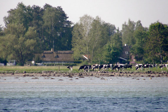 Isefjorden