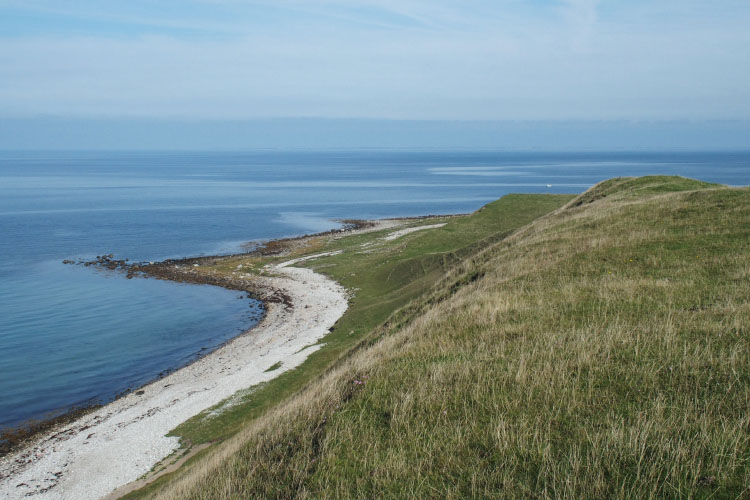 Nekselø