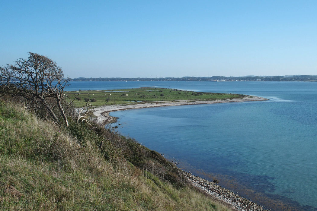 Nekselø