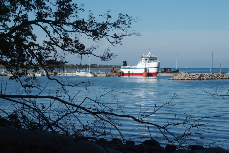 Nekselø