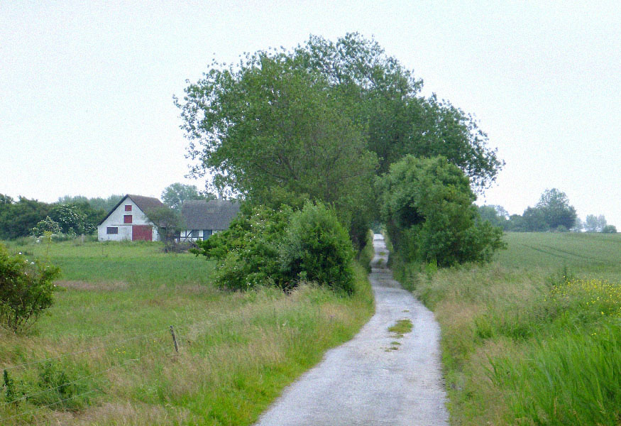 Ølejr på Lyø 2013