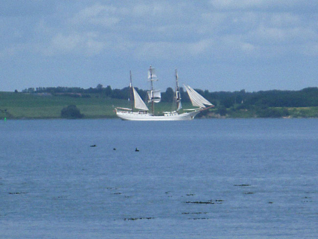 Ølejr på Lyø 2013