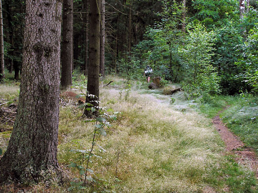 Tisvilde hegn