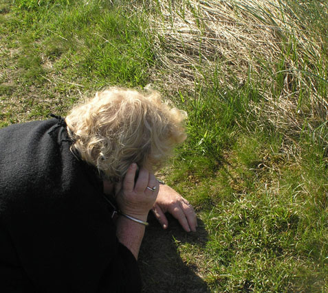 Signes hotline