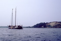 P81