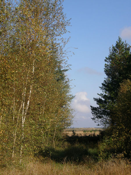 Nationalpark Thy