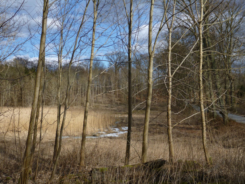 Ved Isefjorden
