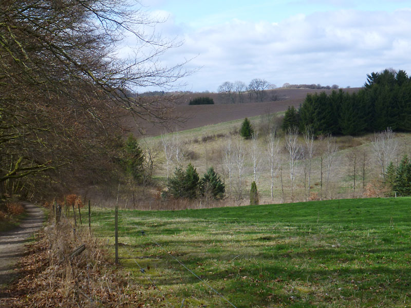 Vandring Hvalsø-Haraldsted