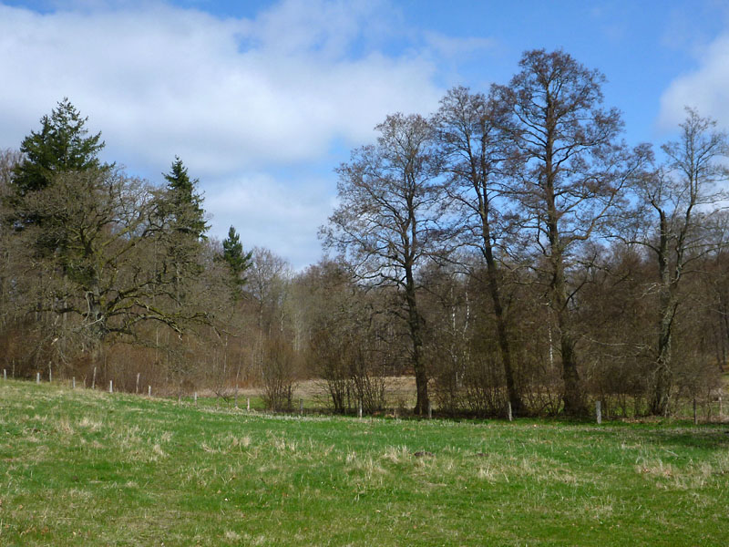 Vandring Hvalsø-Haraldsted