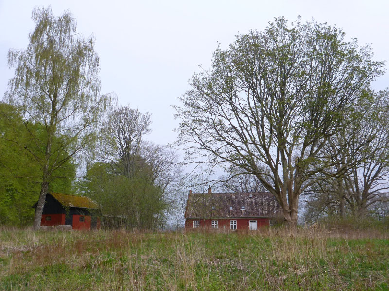 Åmose Å