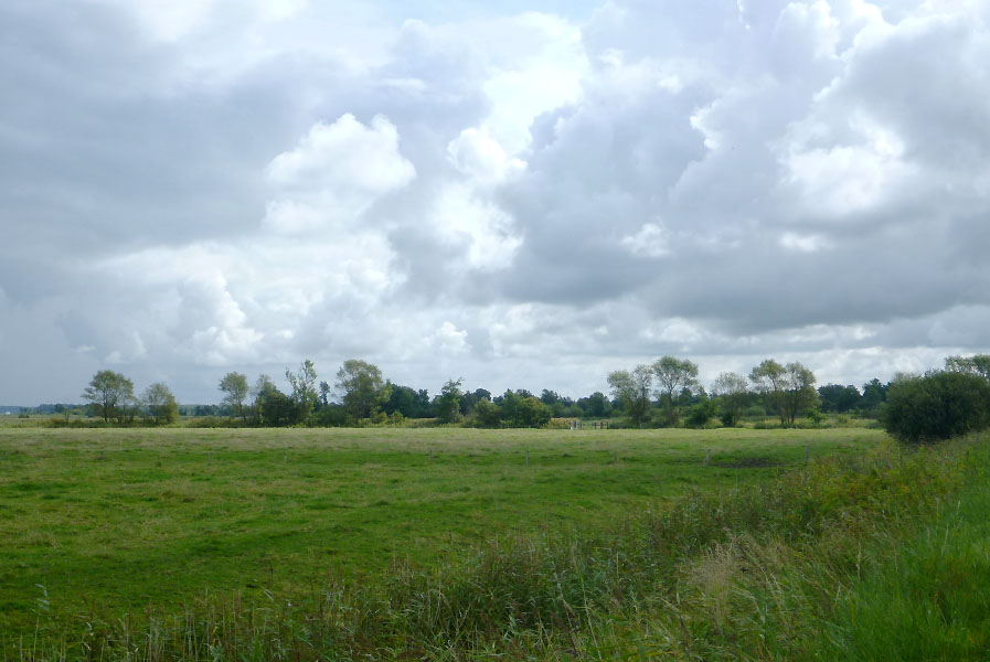 Slesvig