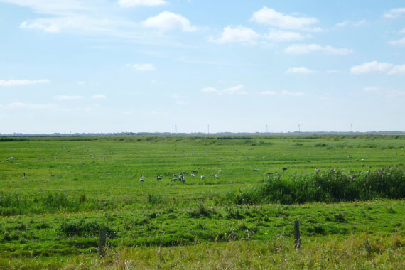 Slesvig