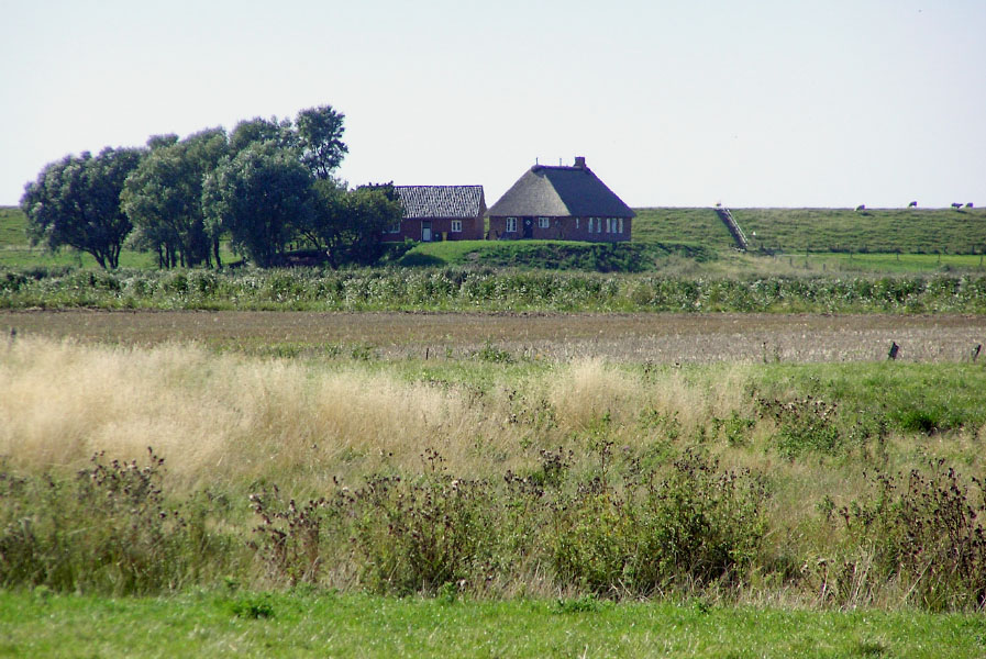 Slesvig