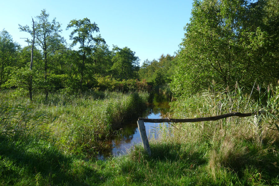 Slesvig