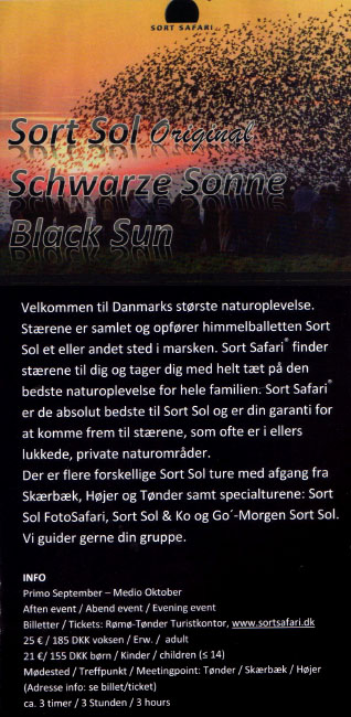 Slesvig