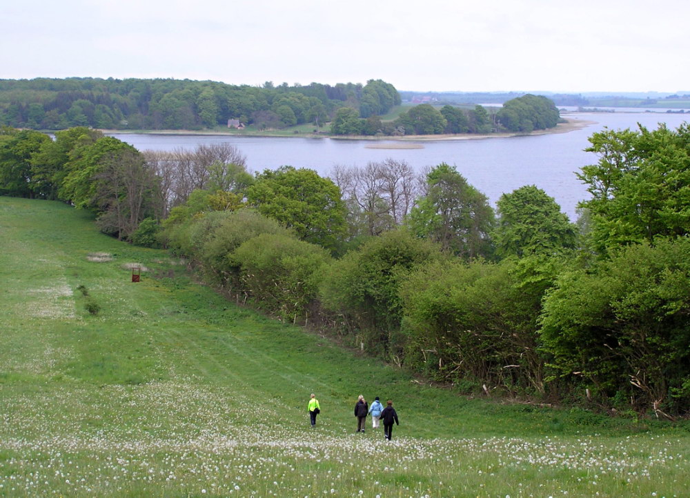 Dorthes landskaber