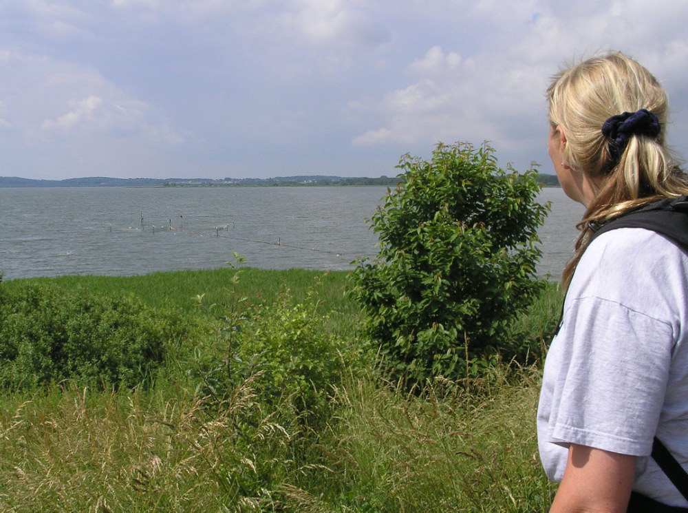 Dorthes landskaber