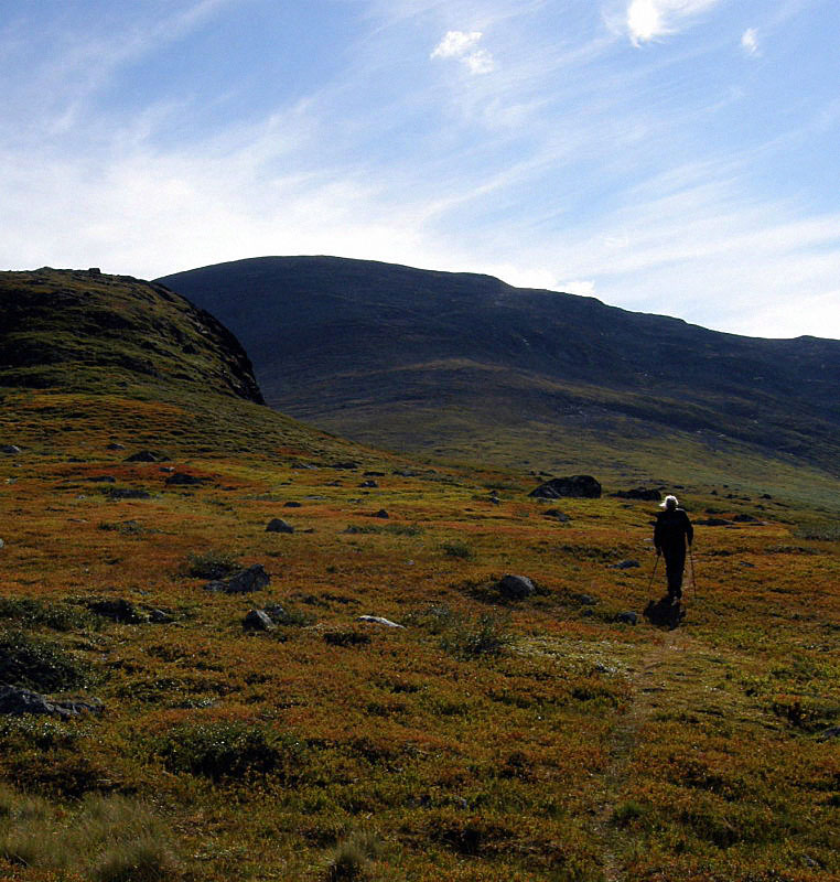 Dorthes landskaber