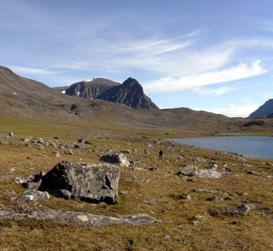 Dorthes landskaber
