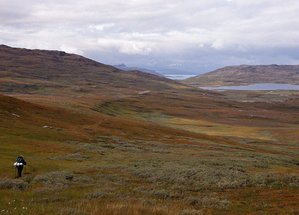 Dorthes landskaber