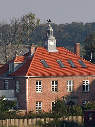 Vindfløj / Weather vane