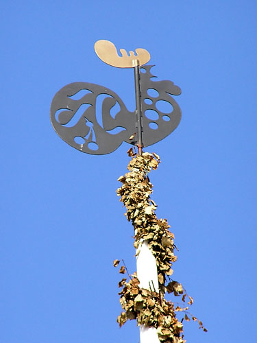 Vindfløj / Weather vane