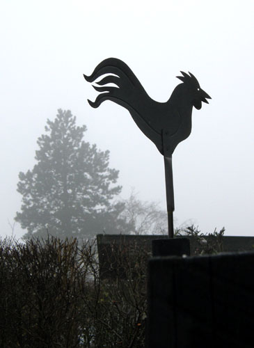 Vindfløj / Weather vane