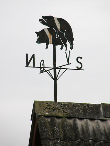 Vindfløj / Weather vane