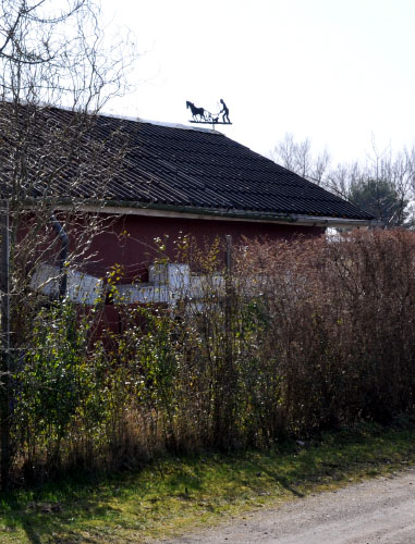 Vindfløj / Weather vane