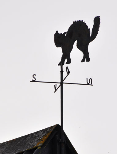 Vindfløj / Weather vane