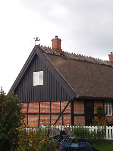 Vindfløj / Weather vane