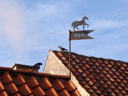 Vindfløj / Weather vane