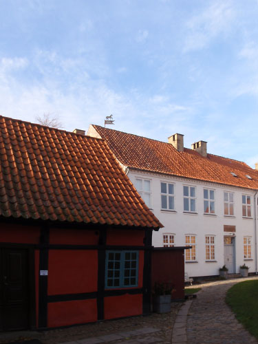 Vindfløj / Weather vane