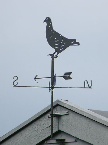 Vindfløj / Weather vane