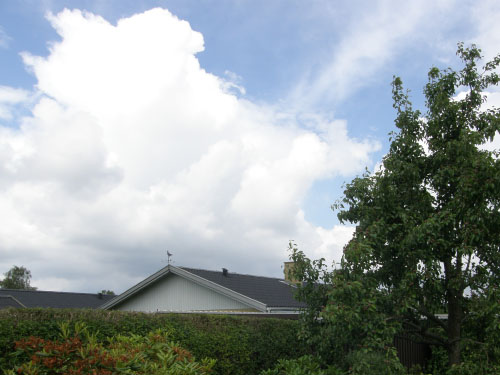 Vindfløj / Weather vane