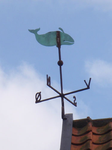 Vindfløj / Weather vane