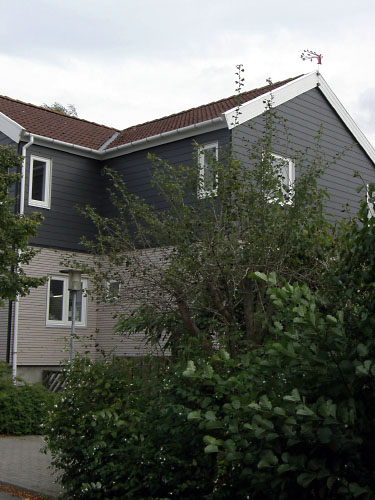 Vindfløj / Weather vane
