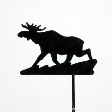 Vindfløj / Weather vane